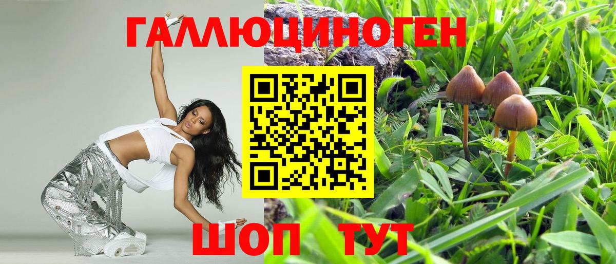 Псилоцибиновые грибы ЛСД Амурск