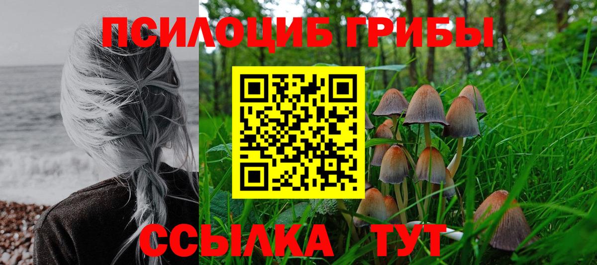 Псилоцибиновые грибы Cubensis  Псилоцибиновые грибы Psilocybe  Вход с VPN  Амурск 